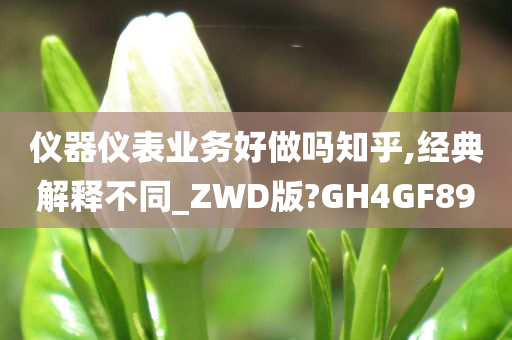 仪器仪表业务好做吗知乎,经典解释不同_ZWD版?GH4GF89