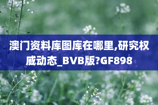 澳门资料库图库在哪里,研究权威动态_BVB版?GF898