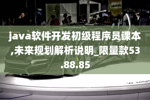 java软件开发初级程序员课本,未来规划解析说明_限量款53.88.85