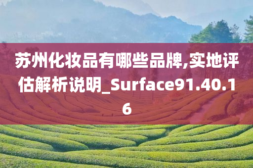 苏州化妆品有哪些品牌,实地评估解析说明_Surface91.40.16