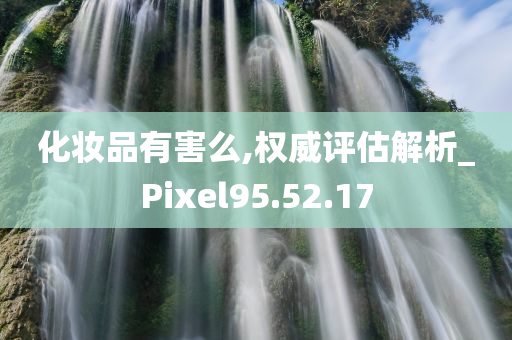 化妆品有害么,权威评估解析_Pixel95.52.17