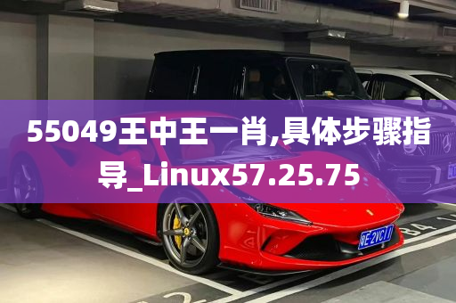 55049王中王一肖,具体步骤指导_Linux57.25.75