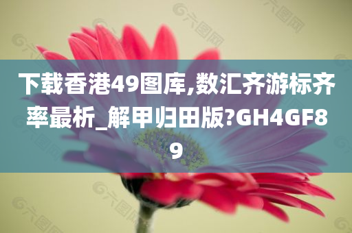 下载香港49图库,数汇齐游标齐率最析_解甲归田版?GH4GF89