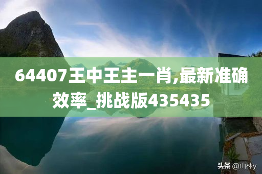 64407王中王主一肖,最新准确效率_挑战版435435