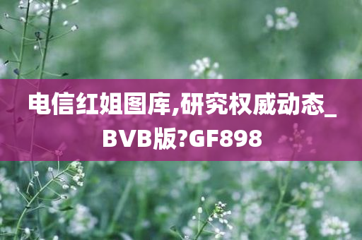 电信红姐图库,研究权威动态_BVB版?GF898