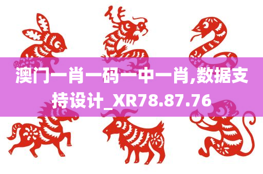 澳门一肖一码一中一肖,数据支持设计_XR78.87.76