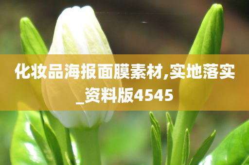 化妆品海报面膜素材,实地落实_资料版4545