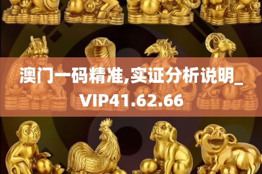 澳门一码精准,实证分析说明_VIP41.62.66