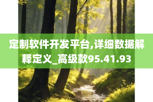 定制软件开发平台,详细数据解释定义_高级款95.41.93