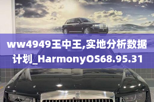 ww4949王中王,实地分析数据计划_HarmonyOS68.95.31