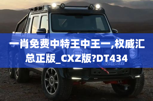 一肖免费中特王中王一,权威汇总正版_CXZ版?DT434