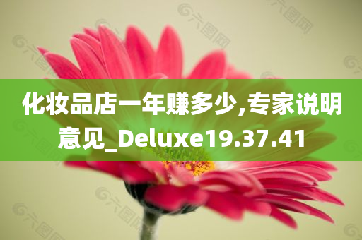 化妆品店一年赚多少,专家说明意见_Deluxe19.37.41