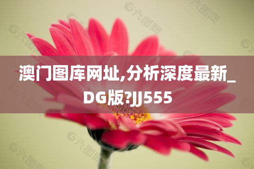 澳门图库网址,分析深度最新_DG版?JJ555