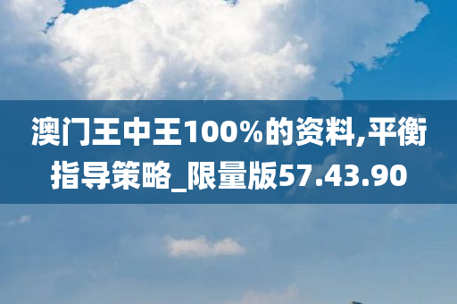 澳门王中王100%的资料,平衡指导策略_限量版57.43.90