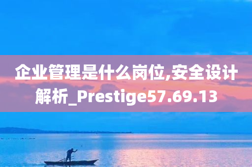 企业管理是什么岗位,安全设计解析_Prestige57.69.13