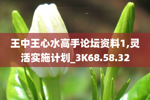 王中王心水高手论坛资料1,灵活实施计划_3K68.58.32