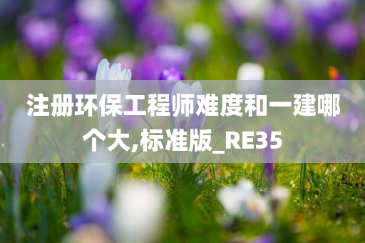 注册环保工程师难度和一建哪个大,标准版_RE35