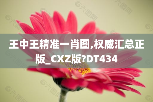 王中王精准一肖图,权威汇总正版_CXZ版?DT434