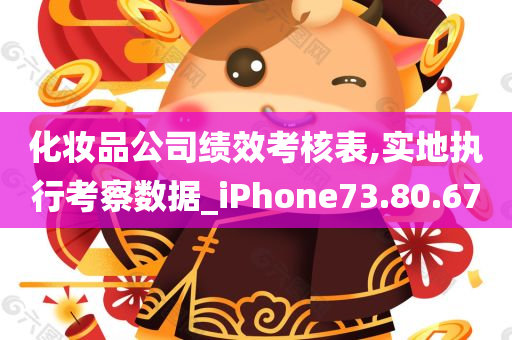 化妆品公司绩效考核表,实地执行考察数据_iPhone73.80.67