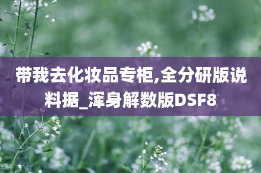 带我去化妆品专柜,全分研版说料据_浑身解数版DSF8