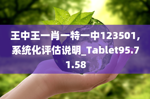 王中王一肖一特一中123501,系统化评估说明_Tablet95.71.58