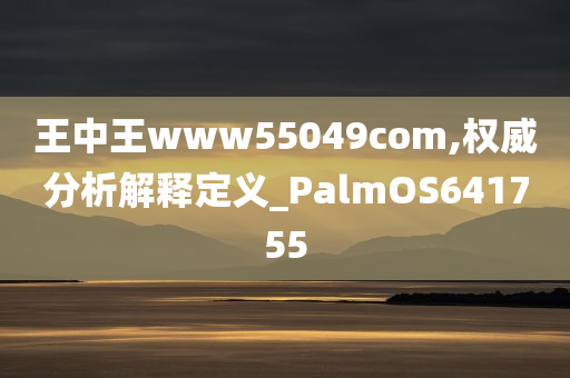 王中王www55049com,权威分析解释定义_PalmOS641755