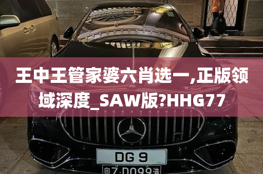 王中王管家婆六肖选一,正版领域深度_SAW版?HHG77