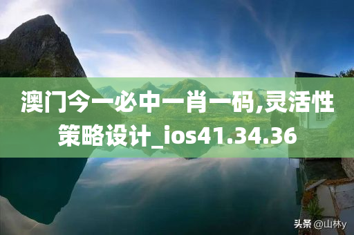 澳门今一必中一肖一码,灵活性策略设计_ios41.34.36