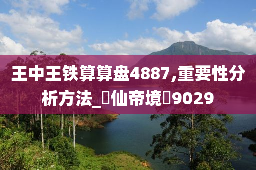 王中王铁算算盘4887,重要性分析方法_‌仙帝境‌9029