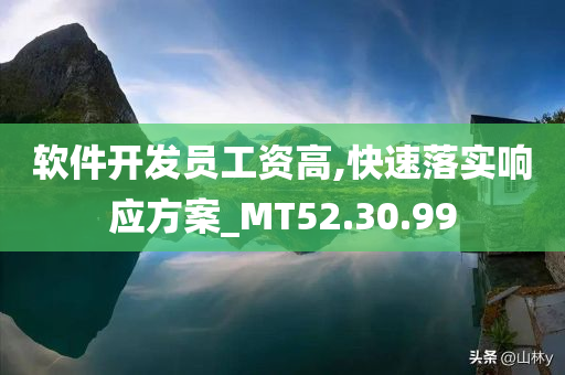 软件开发员工资高,快速落实响应方案_MT52.30.99