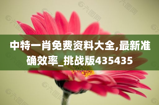 中特一肖免费资料大全,最新准确效率_挑战版435435