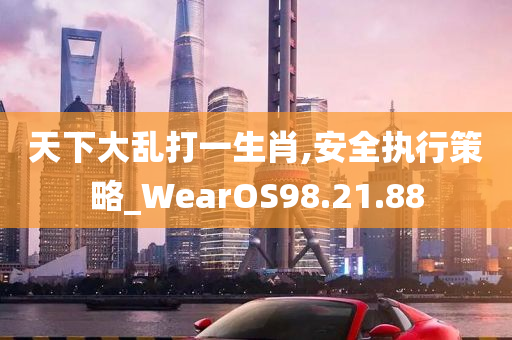 天下大乱打一生肖,安全执行策略_WearOS98.21.88