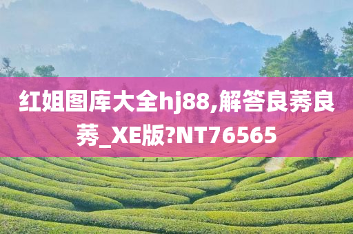 红姐图库大全hj88,解答良莠良莠_XE版?NT76565