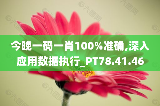 今晚一码一肖100%准确,深入应用数据执行_PT78.41.46