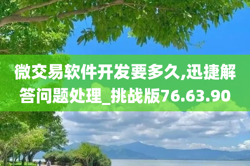 微交易软件开发要多久,迅捷解答问题处理_挑战版76.63.90