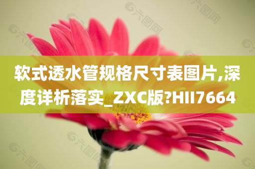 软式透水管规格尺寸表图片,深度详析落实_ZXC版?HII7664