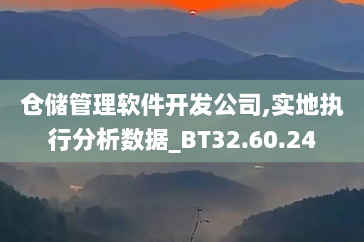 仓储管理软件开发公司,实地执行分析数据_BT32.60.24