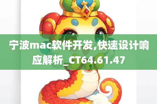 宁波mac软件开发,快速设计响应解析_CT64.61.47