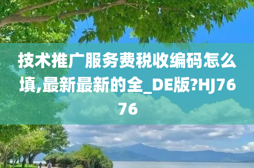 技术推广服务费税收编码怎么填,最新最新的全_DE版?HJ7676