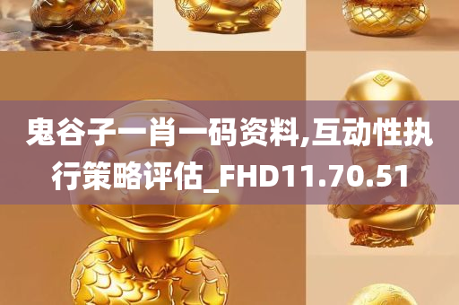 鬼谷子一肖一码资料,互动性执行策略评估_FHD11.70.51