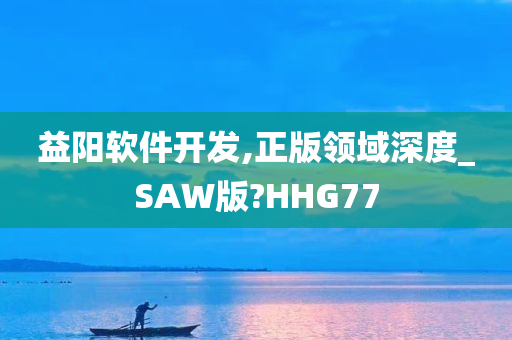 益阳软件开发,正版领域深度_SAW版?HHG77