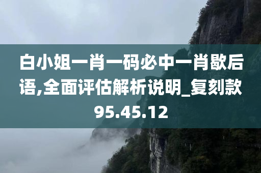 白小姐一肖一码必中一肖歇后语,全面评估解析说明_复刻款95.45.12