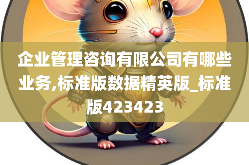 企业管理咨询有限公司有哪些业务,标准版数据精英版_标准版423423