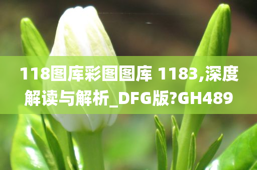 118图库彩图图库 1183,深度解读与解析_DFG版?GH489