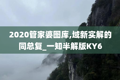 2020管家婆图库,域新实解的同总复_一知半解版KY6