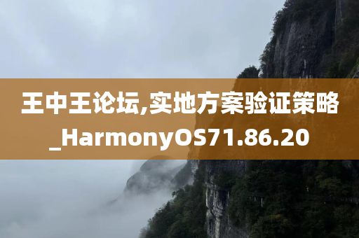 王中王论坛,实地方案验证策略_HarmonyOS71.86.20