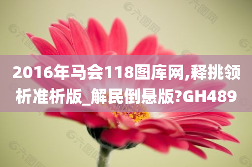 2016年马会118图库网,释挑领析准析版_解民倒悬版?GH489