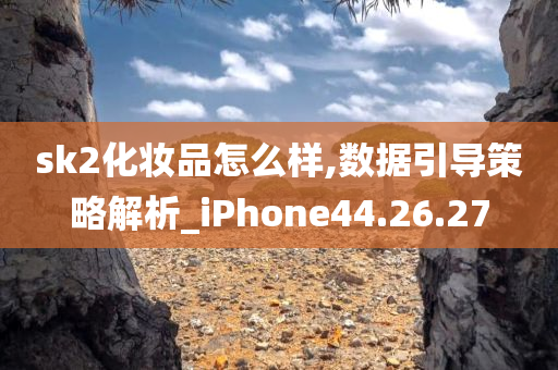 sk2化妆品怎么样,数据引导策略解析_iPhone44.26.27