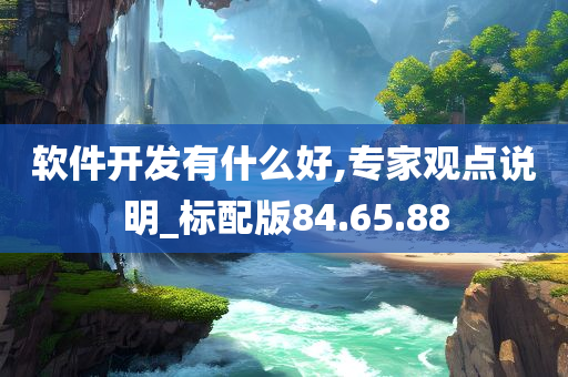 软件开发有什么好,专家观点说明_标配版84.65.88