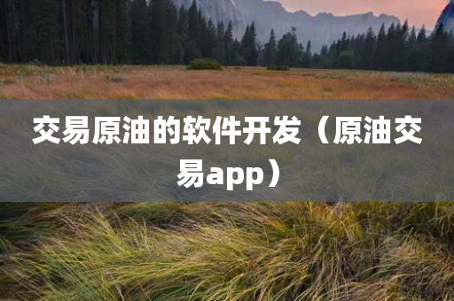 交易原油的软件开发（原油交易app）